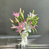 LILY EN MASSE