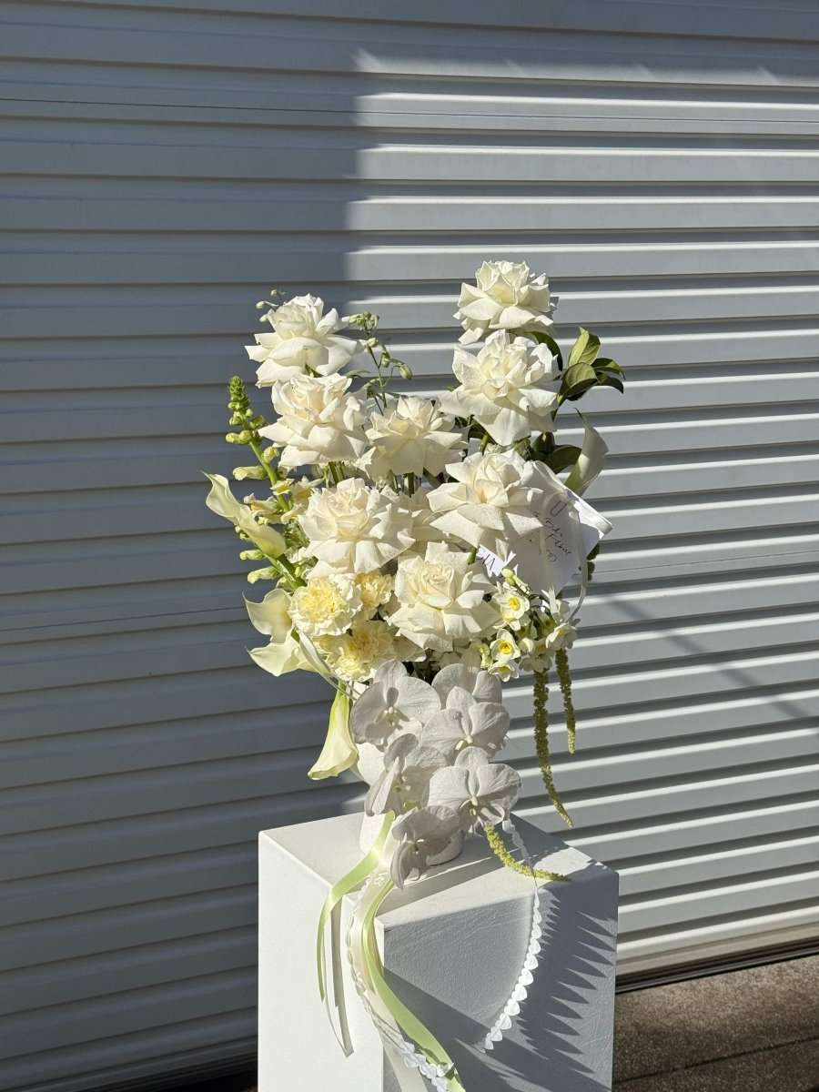 ENCHANTED - GIA STUDIO