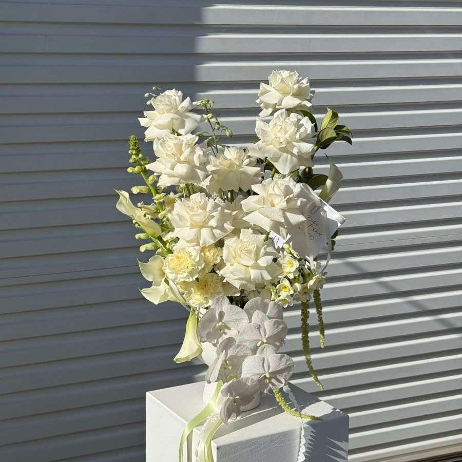 ENCHANTED - GIA STUDIO