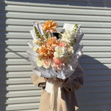 PEACHES + CREAM - GIA STUDIO