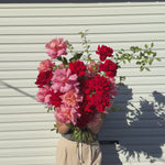 ROSES EN MASSE - WATERMELON SUGAR bouquet - GIA STUDIO - reflexed Ecuador roses 