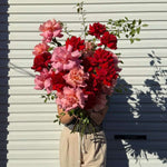 ROSES EN MASSE - WATERMELON SUGAR - GIA STUDIO
