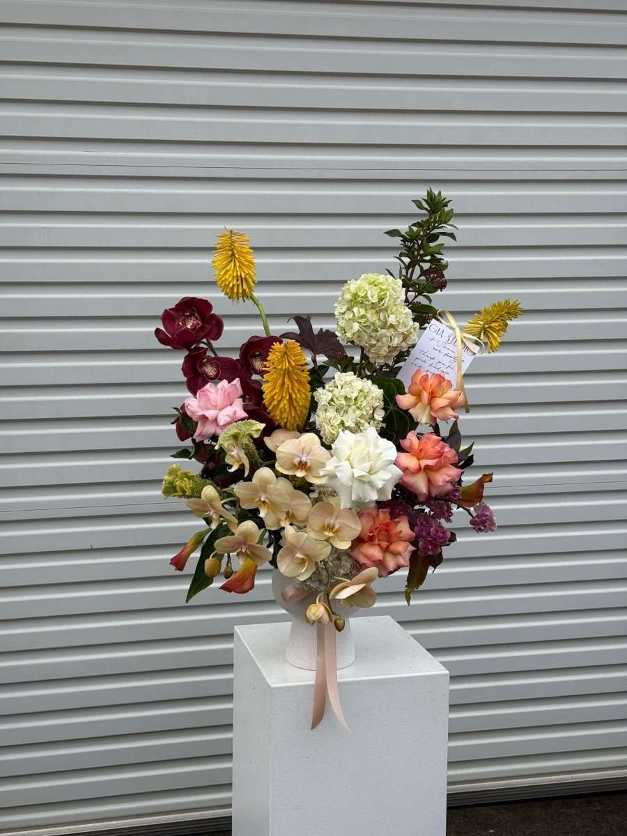 SURPRISE ME! - GIA STUDIO
